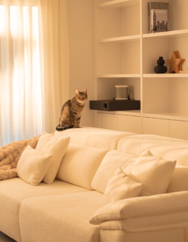 La necessitat del client